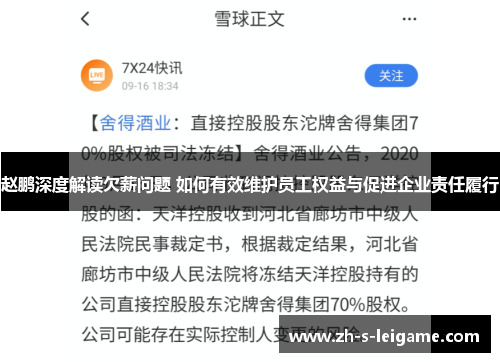 赵鹏深度解读欠薪问题 如何有效维护员工权益与促进企业责任履行